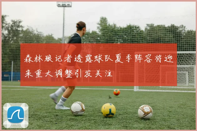 森林狼记者透露球队夏季阵容将迎来重大调整引发关注