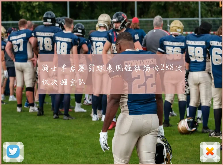 骑士季后赛罚球表现强劲场均288次仅次掘金队