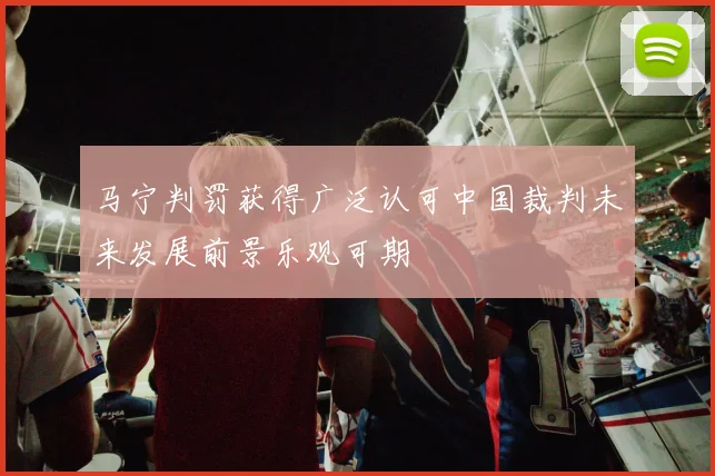 马宁判罚获得广泛认可中国裁判未来发展前景乐观可期