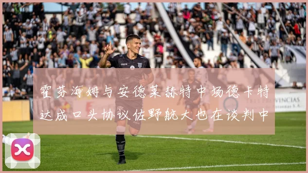 霍芬海姆与安德莱赫特中场德卡特达成口头协议佐野航大也在谈判中