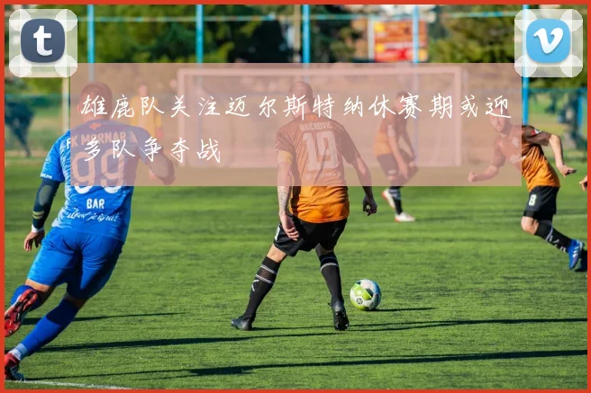 雄鹿队关注迈尔斯特纳休赛期或迎多队争夺战